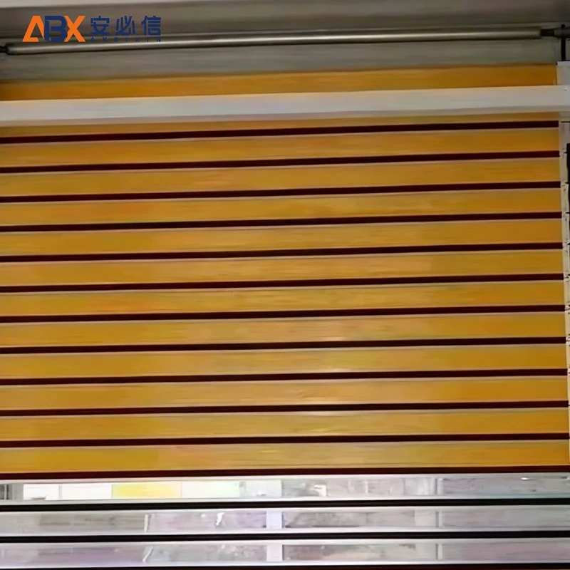 海口市感应高速门